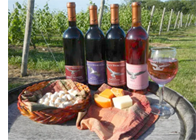 Wine Bottles
