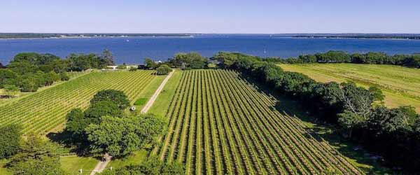 Long Island Winery